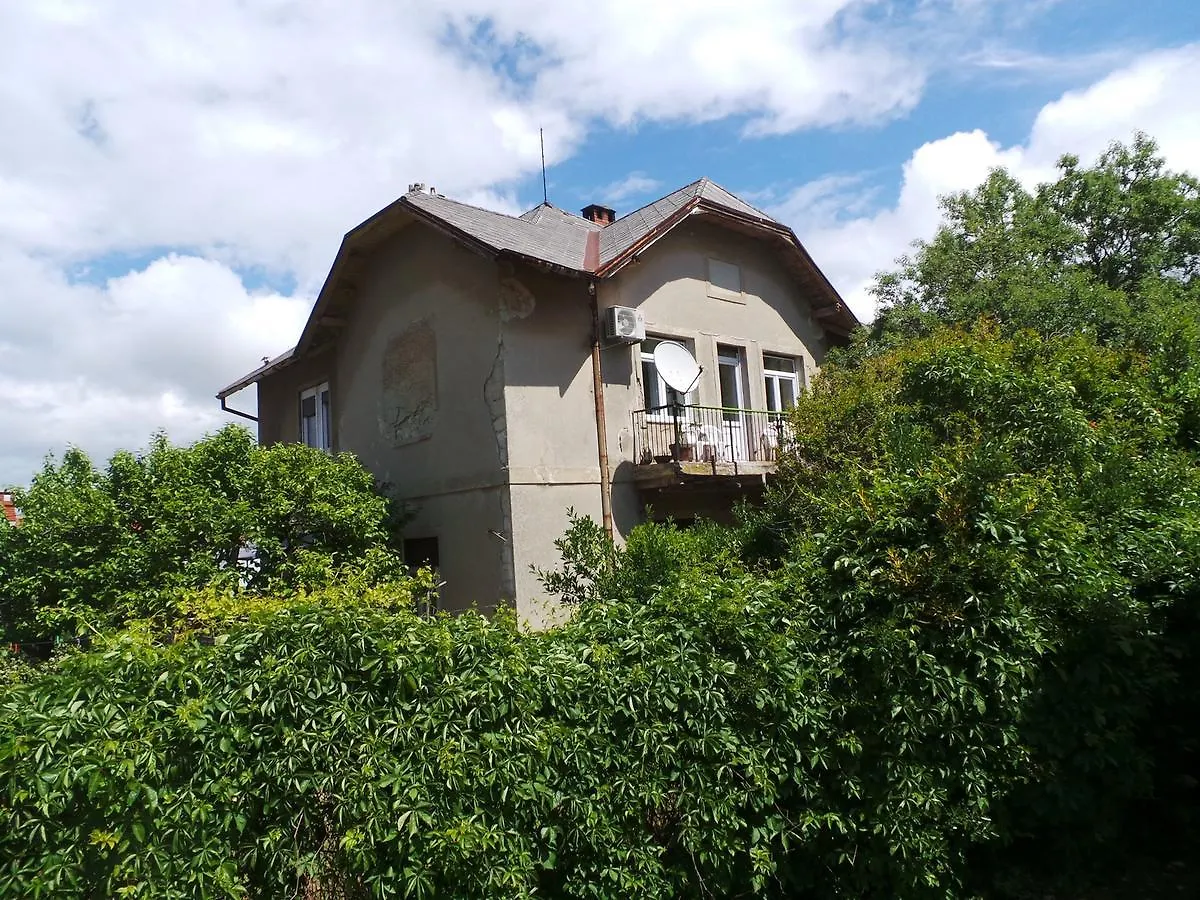 Apartment Near Archaeological Museum In Pula In Pluj